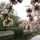北京旅游 缩略图 5