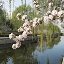 北京旅游 缩略图 6
