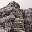 北京旅游 缩略图 10
