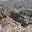 北京旅游 缩略图 6