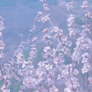 北京旅游 缩略图 4