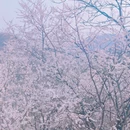 北京旅游 缩略图 8