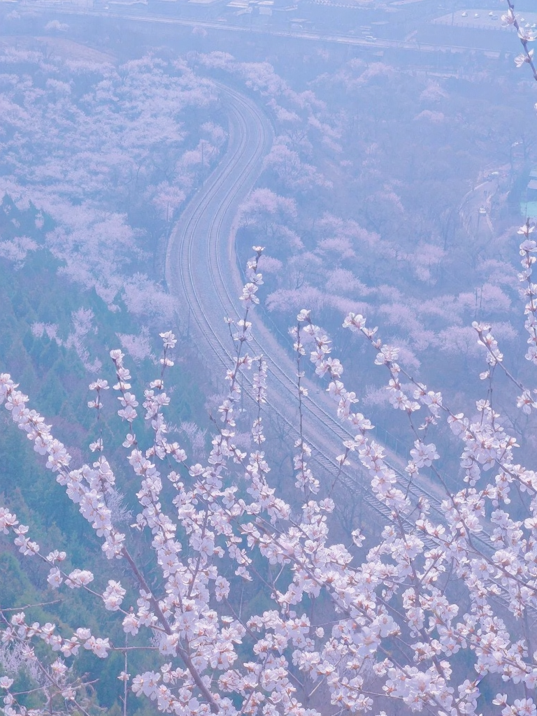 北京旅游