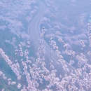 北京旅游 缩略图 1