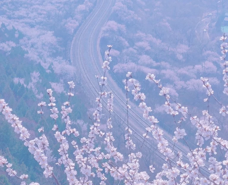 北京旅游 1