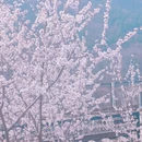 北京旅游 缩略图 7