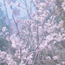 北京旅游 缩略图 10