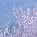 北京旅游 缩略图 5