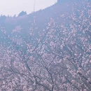 北京旅游 缩略图 11