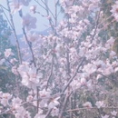 北京旅游 缩略图 9