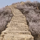 北京旅游 缩略图 5