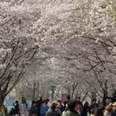 北京旅游 缩略图 2