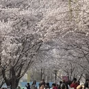 北京旅游 缩略图 3