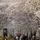北京旅游 缩略图 1