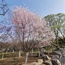 北京旅游 缩略图 2