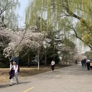 北京旅游 缩略图 2