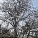 北京旅游 缩略图 3