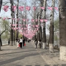 北京旅游 缩略图 7