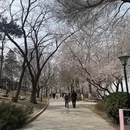 北京旅游 缩略图 5