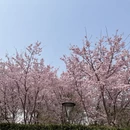 北京旅游 缩略图 10