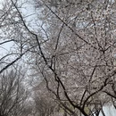 北京旅游 缩略图 6