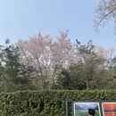 北京旅游 缩略图 8