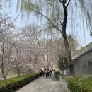 北京旅游 缩略图 4