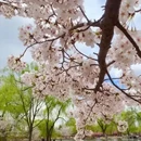 北京旅游 缩略图 3