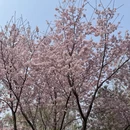 北京旅游 缩略图 9