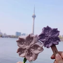 北京旅游 缩略图 5