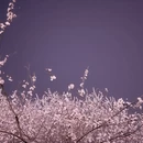北京旅游 缩略图 1