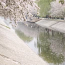 北京旅游 缩略图 7
