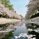 北京旅游 缩略图 8