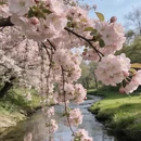 北京旅游 缩略图 9