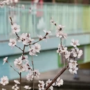 北京旅游 缩略图 1