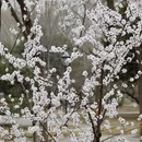 北京旅游 缩略图 10