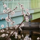 北京旅游 缩略图 6