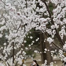 北京旅游 缩略图 9