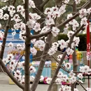 北京旅游 缩略图 8