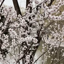 北京旅游 缩略图 14