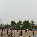 北京旅游 缩略图 16