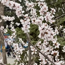 北京旅游 缩略图 13