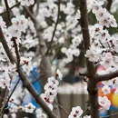 北京旅游 缩略图 12