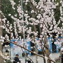 北京旅游 缩略图 2
