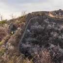 北京旅游 缩略图 5