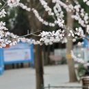 北京旅游 缩略图 7