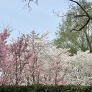 北京旅游 缩略图 17