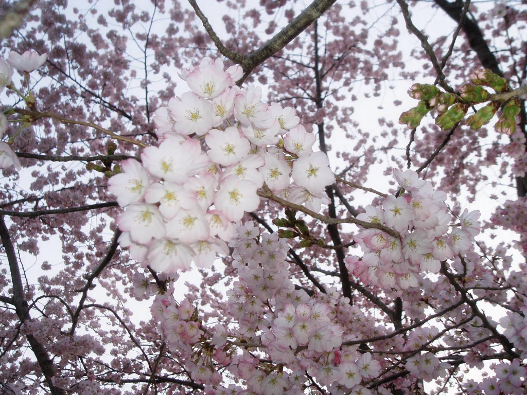 北京旅游