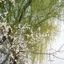 北京旅游 缩略图 3