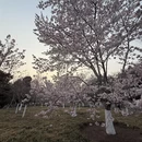 北京旅游 缩略图 6